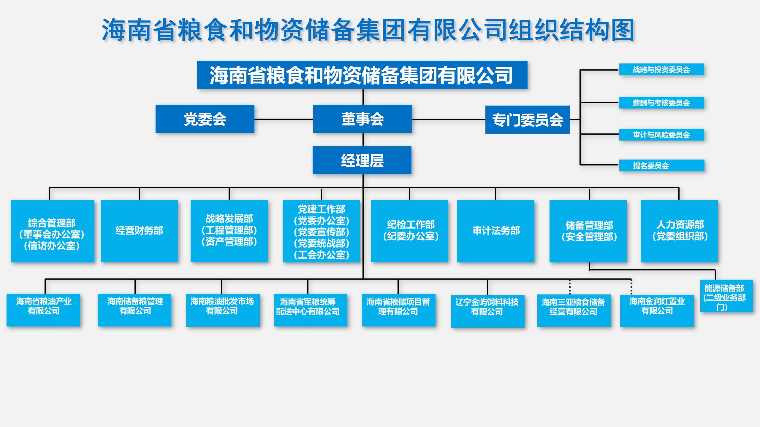 琼储人海南省粮食和物资储备集团有限公司组织结构图二级.jpg